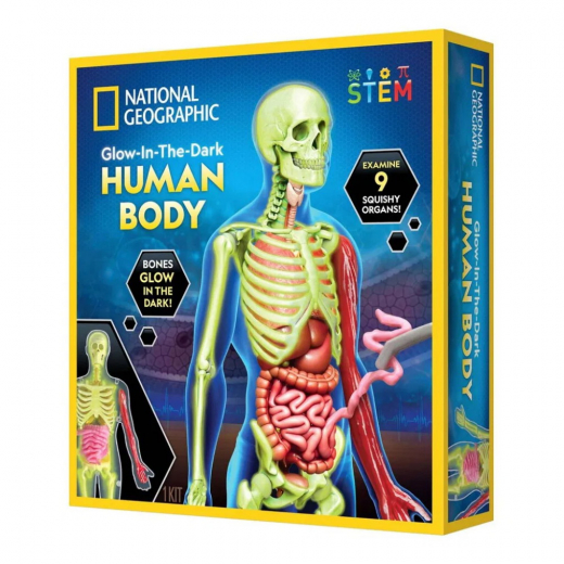 National Geographic Human Body Science Kit i gruppen LEGETØJ / Opfind & eksperiment hos Spelexperten (29-2454)